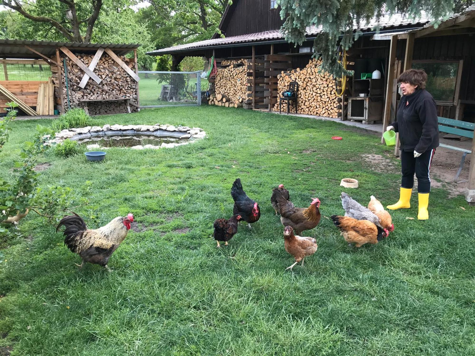 Ferienwohnung Landlust Neudrossenfeld المظهر الخارجي الصورة